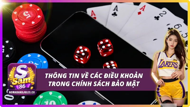 Các điều khoản quan trọng trong chính sách bảo mật SAM86