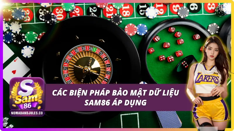 Các biện pháp bảo mật được SAM86 áp dụng