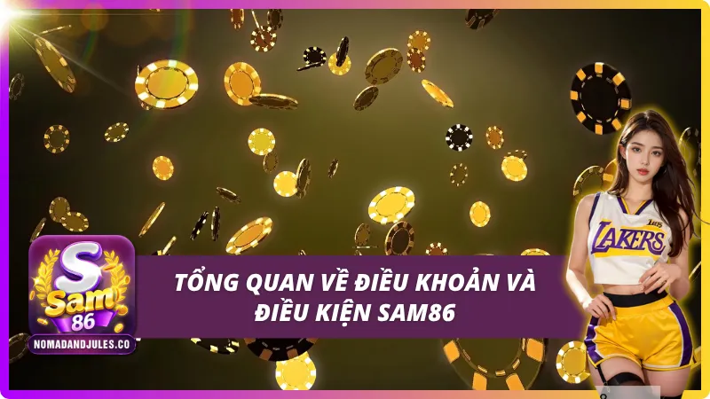 Giới thiệu tổng quan về điều khoản và điều kiện SAM86
